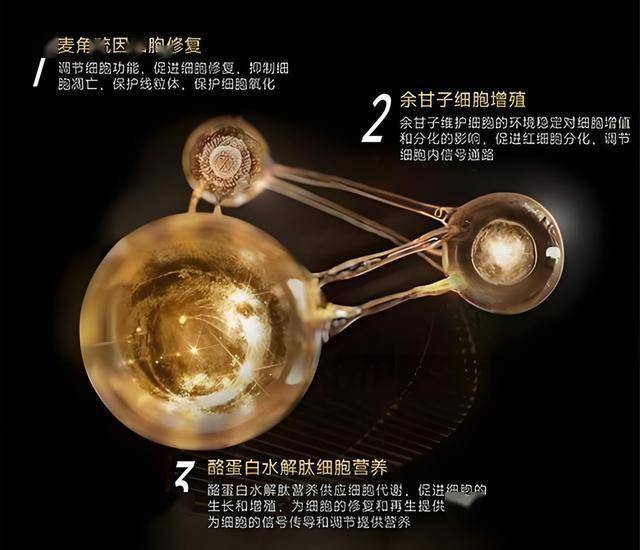 泉州市区新华路施工变更 北段已解除管制