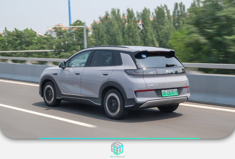 一份医学减重计划是如何形成的？